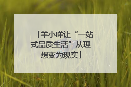 羊小咩让“一站式品质生活”从理想变为现实