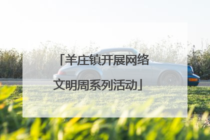 羊庄镇开展网络文明周系列活动