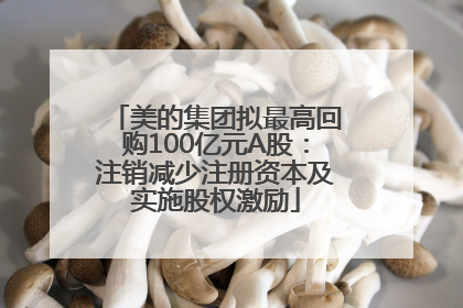 美的集团拟最高回购100亿元A股：注销减少注册资本及实施股权激励