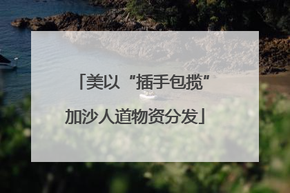 美以“插手包揽”加沙人道物资分发