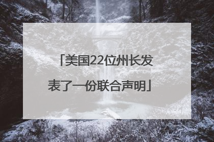 美国22位州长发表了一份联合声明