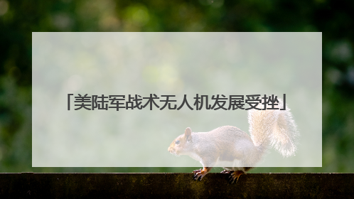 美陆军战术无人机发展受挫