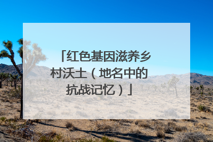 红色基因滋养乡村沃土（地名中的抗战记忆）