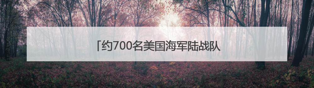 约700名美国海军陆战队士兵将部署至洛杉矶地区