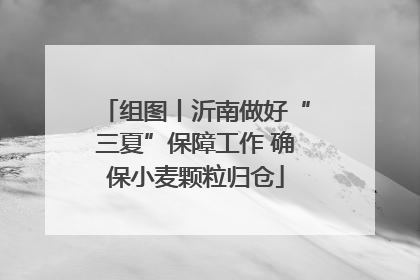 组图丨沂南做好“三夏”保障工作 确保小麦颗粒归仓