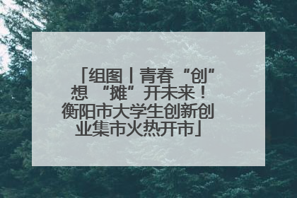 组图丨青春“创”想 “摊”开未来！衡阳市大学生创新创业集市火热开市