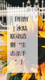 组图｜水陆联动清剿“生态杀手”