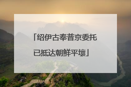 绍伊古奉普京委托已抵达朝鲜平壤