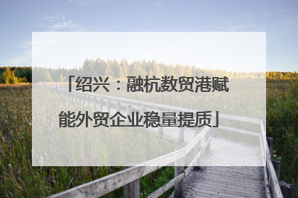 绍兴：融杭数贸港赋能外贸企业稳量提质