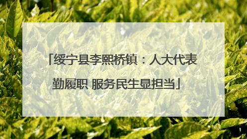 绥宁县李熙桥镇：人大代表勤履职 服务民生显担当