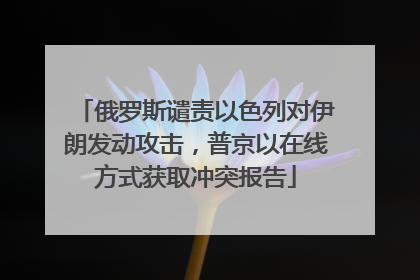 俄罗斯谴责以色列对伊朗发动攻击，普京以在线方式获取冲突报告