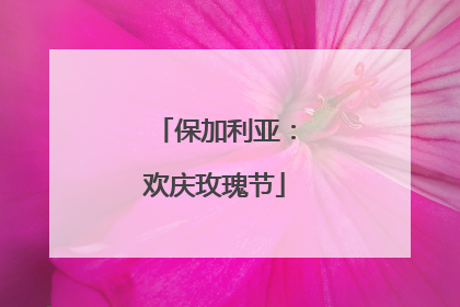 保加利亚：欢庆玫瑰节