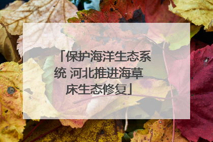 保护海洋生态系统 河北推进海草床生态修复