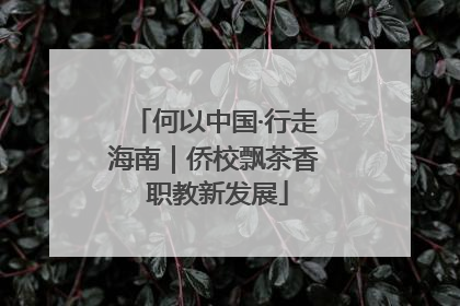 何以中国·行走海南｜侨校飘茶香 职教新发展