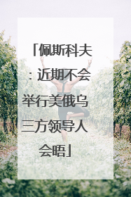 佩斯科夫：近期不会举行美俄乌三方领导人会晤
