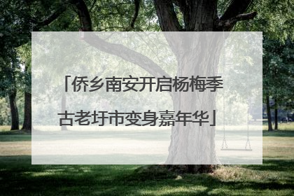 侨乡南安开启杨梅季 古老圩市变身嘉年华