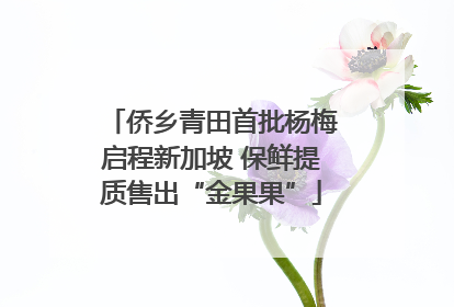 侨乡青田首批杨梅启程新加坡 保鲜提质售出“金果果”