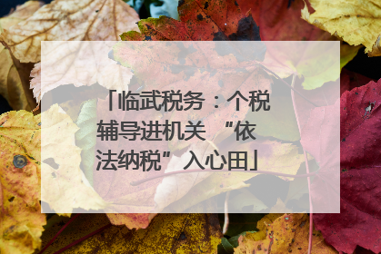 临武税务：个税辅导进机关 “依法纳税”入心田