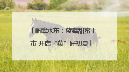 临武水东：蓝莓甜蜜上市 开启“莓”好初夏