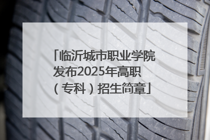 临沂城市职业学院发布2025年高职（专科）招生简章