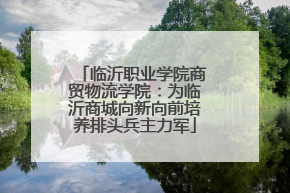 临沂职业学院商贸物流学院：为临沂商城向新向前培养排头兵主力军