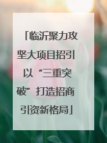 临沂聚力攻坚大项目招引 以“三重突破”打造招商引资新格局