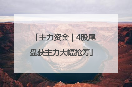主力资金｜4股尾盘获主力大幅抢筹