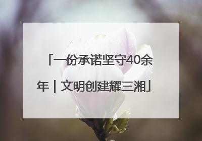 一份承诺坚守40余年｜文明创建耀三湘