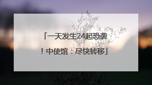 一天发生24起恐袭！中使馆：尽快转移