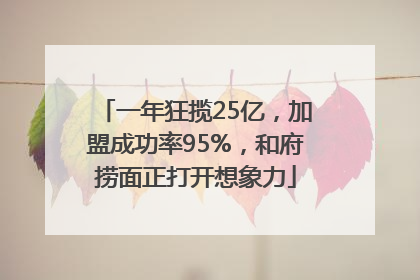 一年狂揽25亿，加盟成功率95%，和府捞面正打开想象力