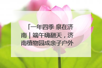 一年四季 泉在济南｜端午嗨翻天，济南植物园成亲子户外热门打卡地