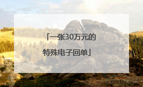 一张30万元的特殊电子回单