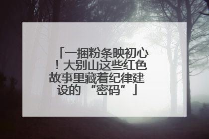 一捆粉条映初心！大别山这些红色故事里藏着纪律建设的 “密码”