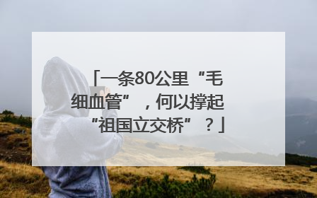 一条80公里“毛细血管”，何以撑起“祖国立交桥”？