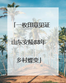一枚印章见证山东安陵88年乡村蝶变