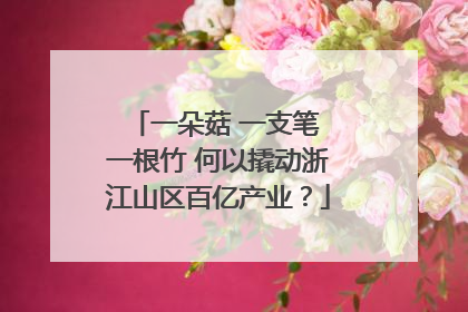 一朵菇 一支笔 一根竹 何以撬动浙江山区百亿产业？