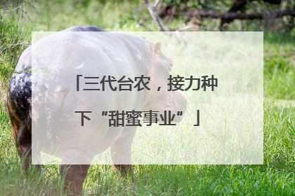 三代台农，接力种下“甜蜜事业”