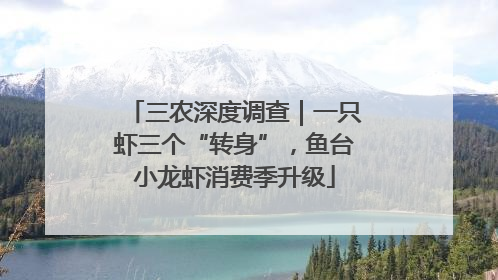 三农深度调查｜一只虾三个“转身”，鱼台小龙虾消费季升级