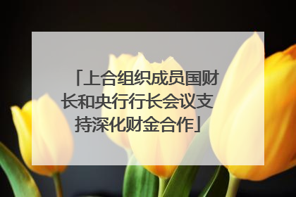 上合组织成员国财长和央行行长会议支持深化财金合作