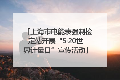 上海市电能表强制检定站开展“5·20世界计量日”宣传活动