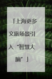 上海更多文旅场景引入“智慧大脑”