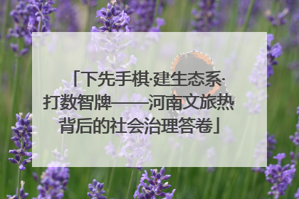下先手棋·建生态系·打数智牌——河南文旅热背后的社会治理答卷
