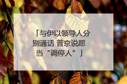 与伊以领导人分别通话 普京说愿当“调停人”