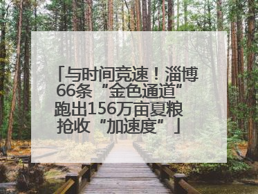与时间竞速！淄博66条“金色通道”跑出156万亩夏粮抢收“加速度”