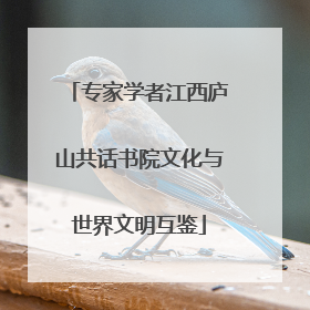 专家学者江西庐山共话书院文化与世界文明互鉴