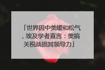 世界因中美缓和松气，埃及学者直言：美搞关税战损其领导力
