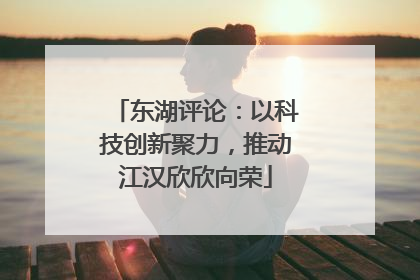 东湖评论：以科技创新聚力，推动江汉欣欣向荣