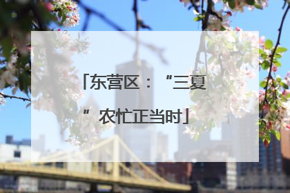 东营区：“三夏”农忙正当时