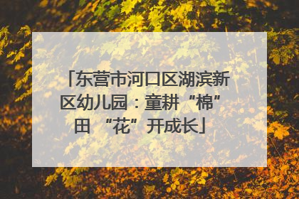 东营市河口区湖滨新区幼儿园：童耕“棉”田 “花”开成长