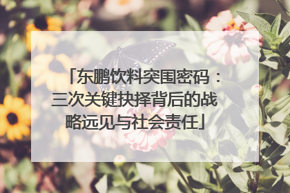 东鹏饮料突围密码：三次关键抉择背后的战略远见与社会责任